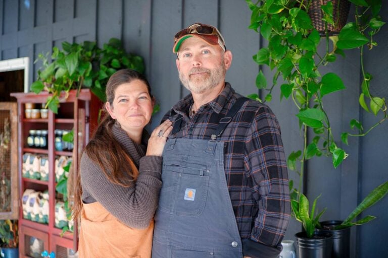 The Folk Collaborative: The Hills are Calling