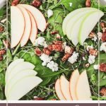 A Pinterest image of an apple salad with pecans, crumbled blue cheese and the words Harvest Apple Salad with Cider Vinaigrette
