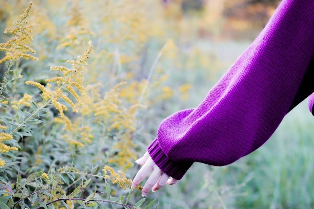 Bible Verses About Harvest