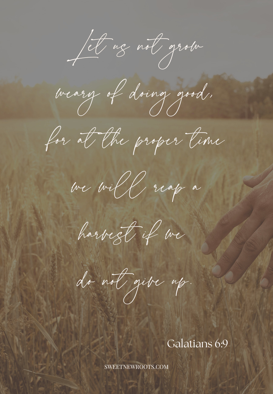 A Bible Verse About Harvest in white letters with an image of a woman brushing her hand against wheat in a field
