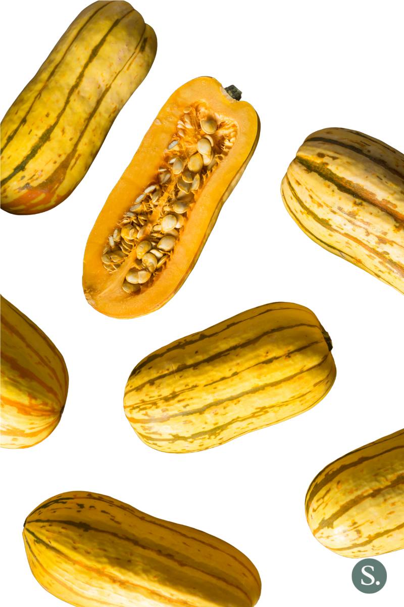 Butternut Squash Substitute Delicata Squash