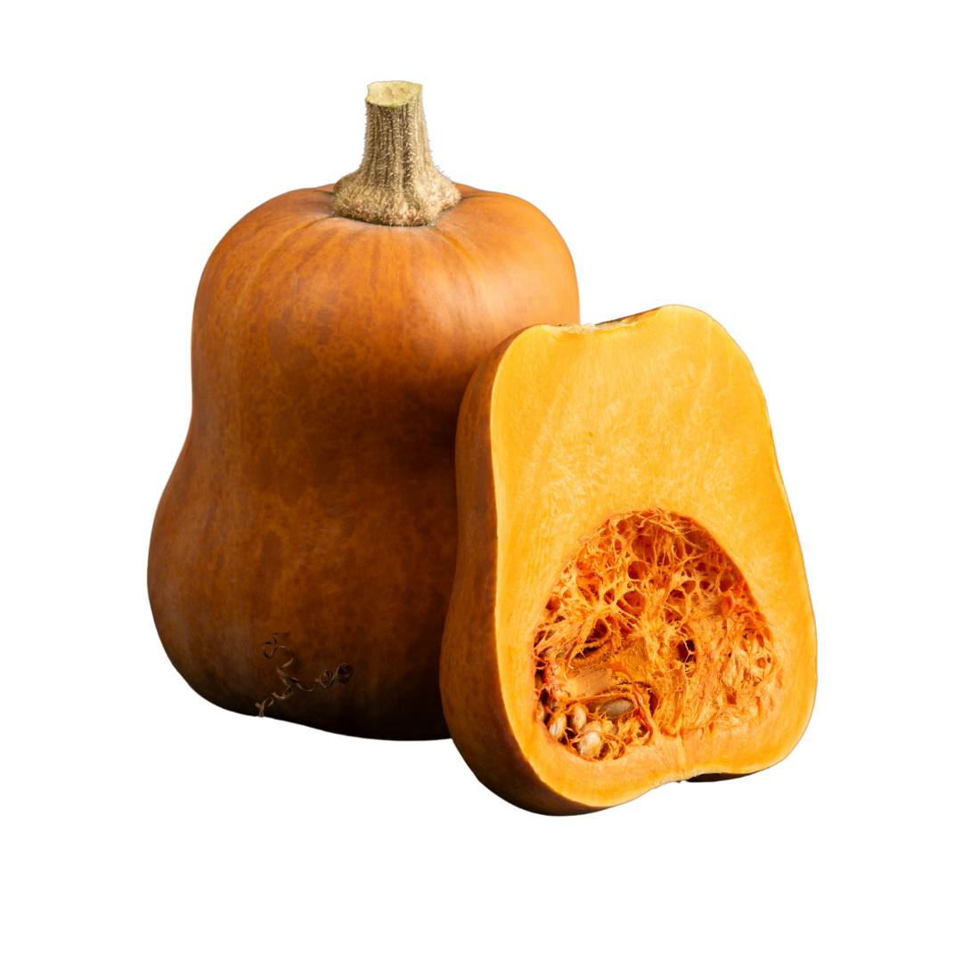 Butternut Squash Alternative Honeynut Squash