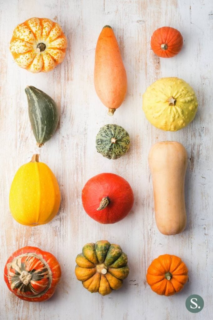 Squash Varieties A vibrant range of winter squash varieties that can be used in place of butternut squash, including sugar pumpkin, kabocha squash, hubbard, turban and more.