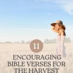 ertical Pinterest pin for 11 Bible Verses About Harvest featuring a wheat field background and a call-to-action for the Fruitful Life Roadmap.