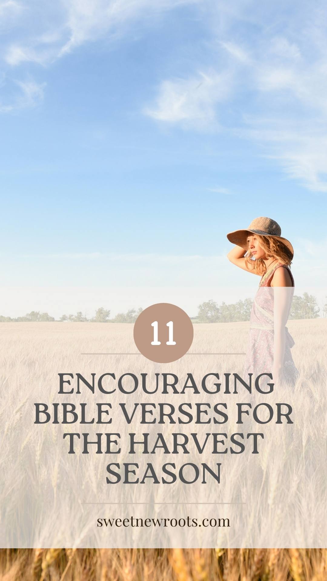 ertical Pinterest pin for 11 Bible Verses About Harvest featuring a wheat field background and a call-to-action for the Fruitful Life Roadmap.