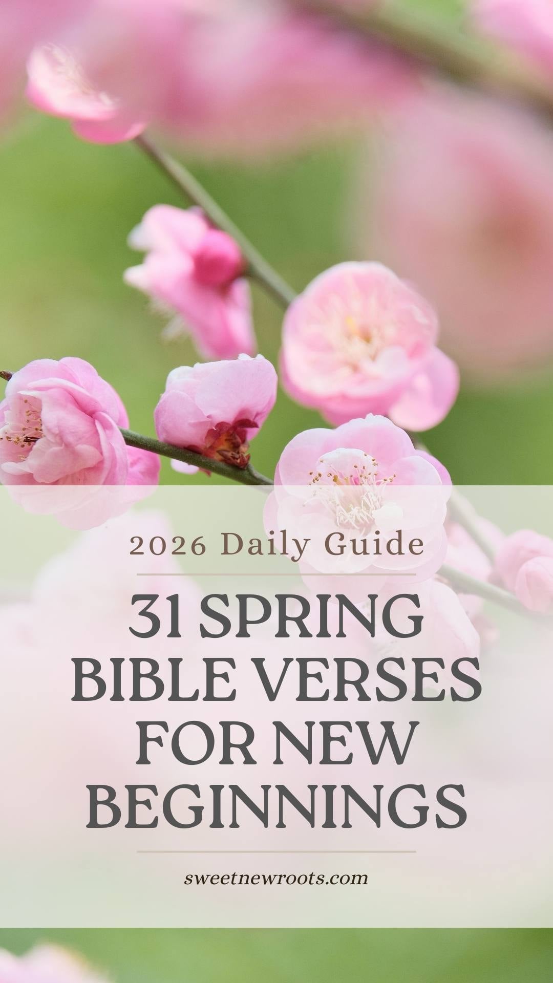 A collage of pink cherry blossom flowers with text overlay that reads "31 Days of Spring Bible Verses for New Beginnings."