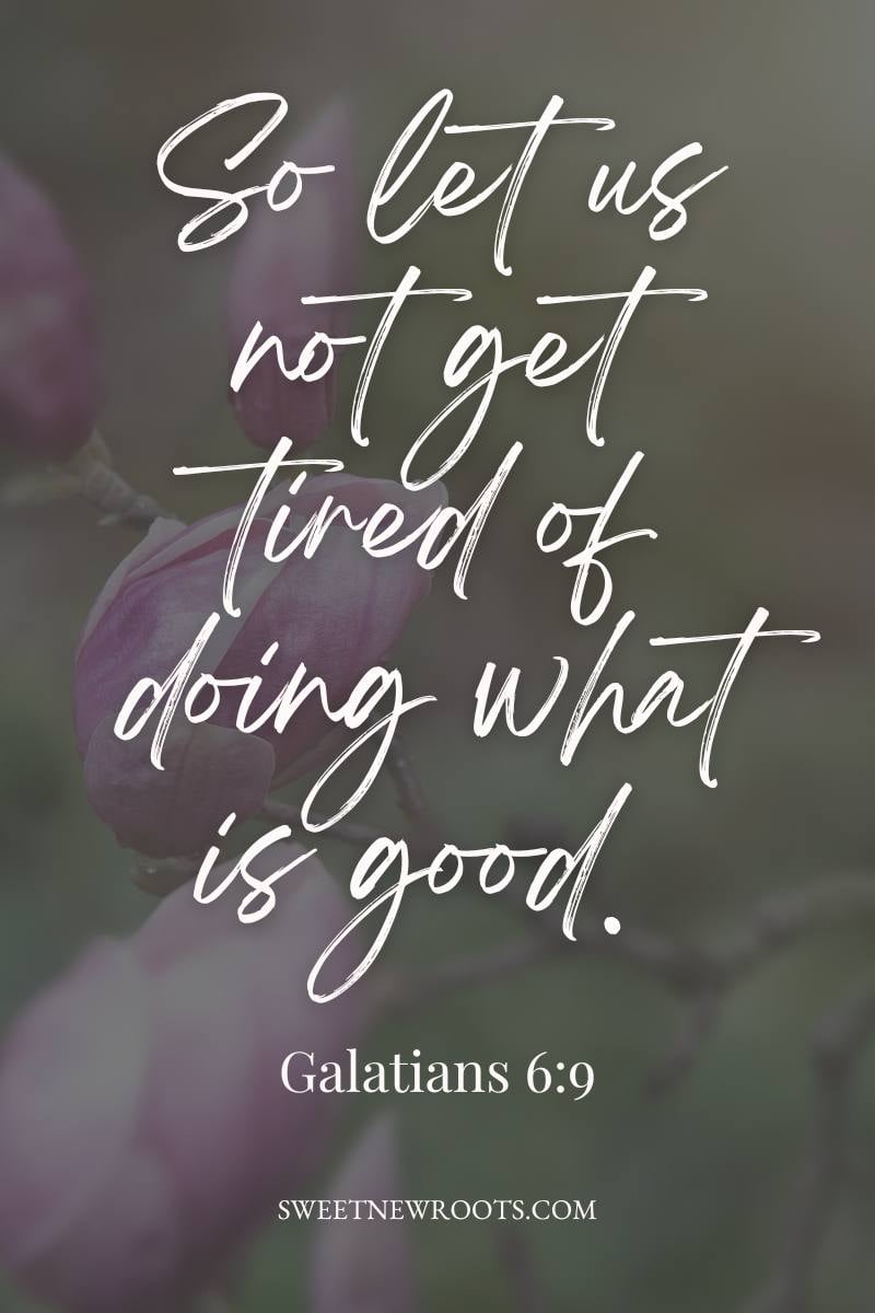 Encouraging scripture graphic for Galatians 6:9 on a warm green background with a photo of pink flower buds on the brink of bloom.