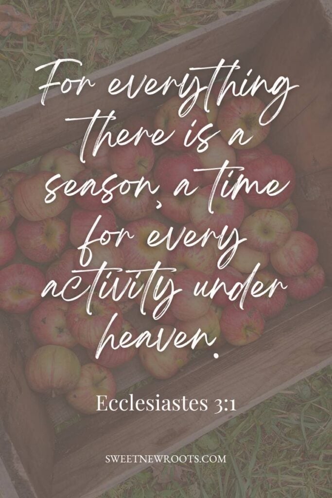 Inspirational Pinterest pin with Ecclesiastes 3:1: "For everything there is a season, a time for every activity under heaven."