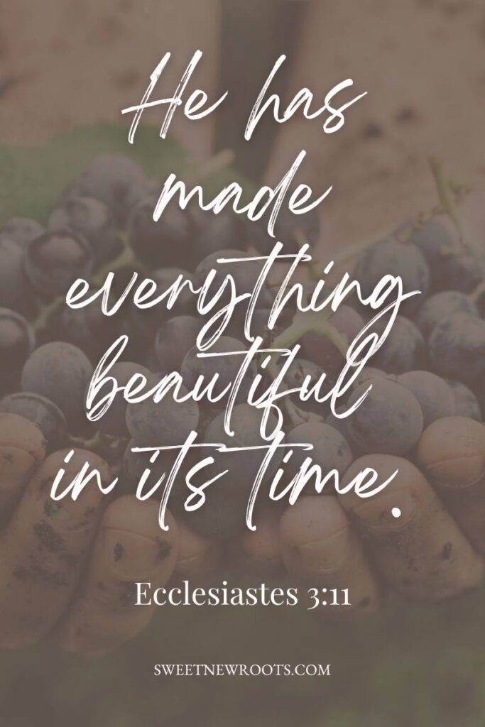  Inspirational Pinterest pin with Ecclesiastes 3:11: "He has made everything beautiful in its time."