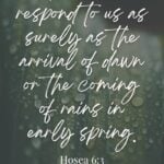 Bible verse graphic for Hosea 6:3 on a misty blue background with water droplets on a spring leaf.