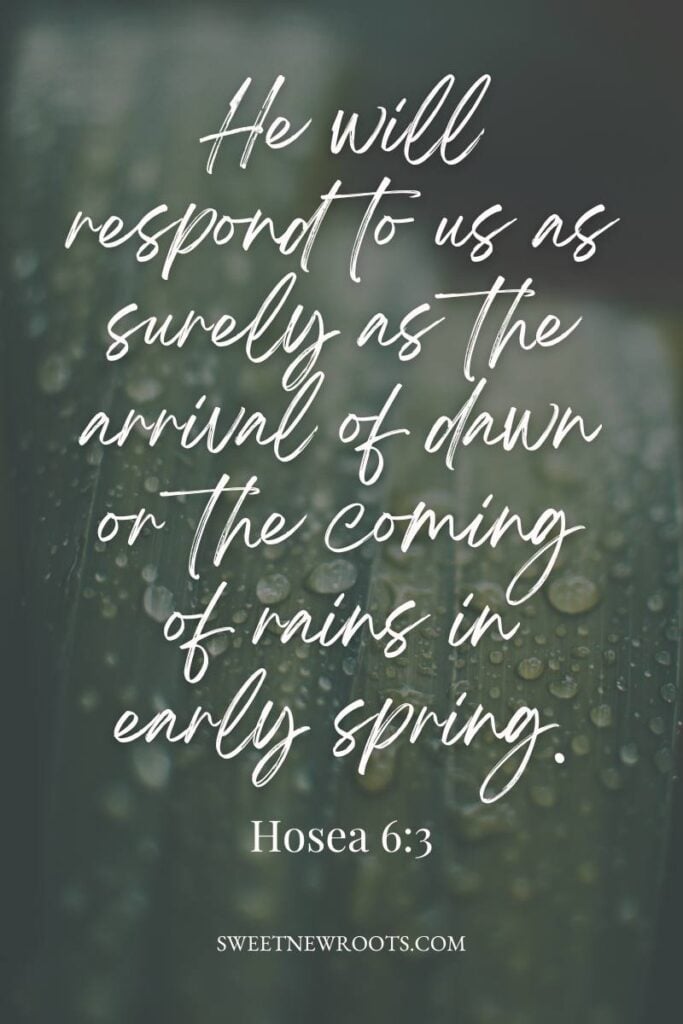 31 Spring Bible Verses for New Beginnings (2026 Daily Guide)